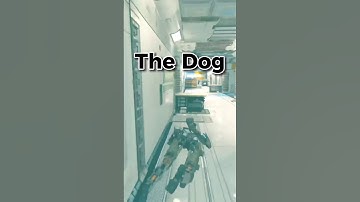 Everyone Is Scared Of The Dog In Call of Duty Infinite Warfare