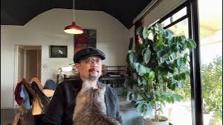 中共对付香港的手法与新疆一样：香港大火“四大诉求”发起人被拘留，详解中共对于不服从疆域的三种手段｜宏福苑｜新疆75事件｜两少一宽