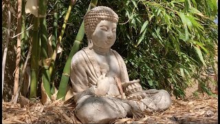 Buddhist Stories - The Ascetic and the Discovery of the Middle Way