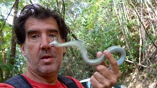 A Snake Bit My Eye! #shorts