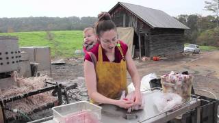 On-Farm Chicken Processing: Eviscerating