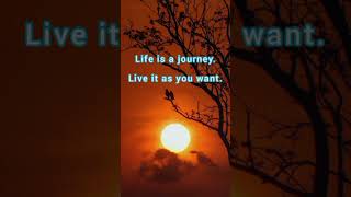 Download Lagu Liva Life Inspirational Quotes MP3