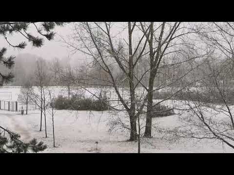 هاني متواسي انا بعشق لون البحر الدايب بعيونك