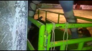 Toro ultimo viaje en carachurio gro.