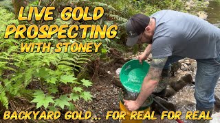 Part 1 of 4  LIVE Gold Prospecting  Backyard Gold! #shorts #goldpanning #prospecting