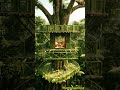 Building an Amazing Bamboo House: Time-Lapse Journey