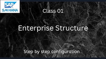 Enterprise Structure in SAP S4 Hana FI - Financial Accounting | Class - 01 #saps4hana #s4hanafinance