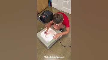 First project:  Multiple Intelligence!