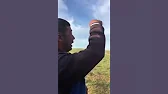 Енот Тащит