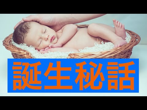 侍Tubeチャンネルはなぜ生まれたのか？