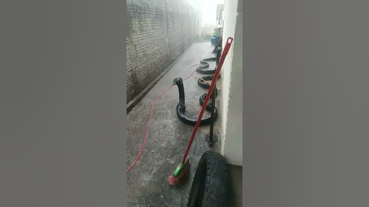 chuvas muito forte enchente nos rios trouxe duas sucuri pro quintal de casa e comeram os gatos