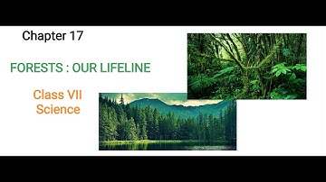 Class VII Science 10 09 2020 by Ms Bhanupriya