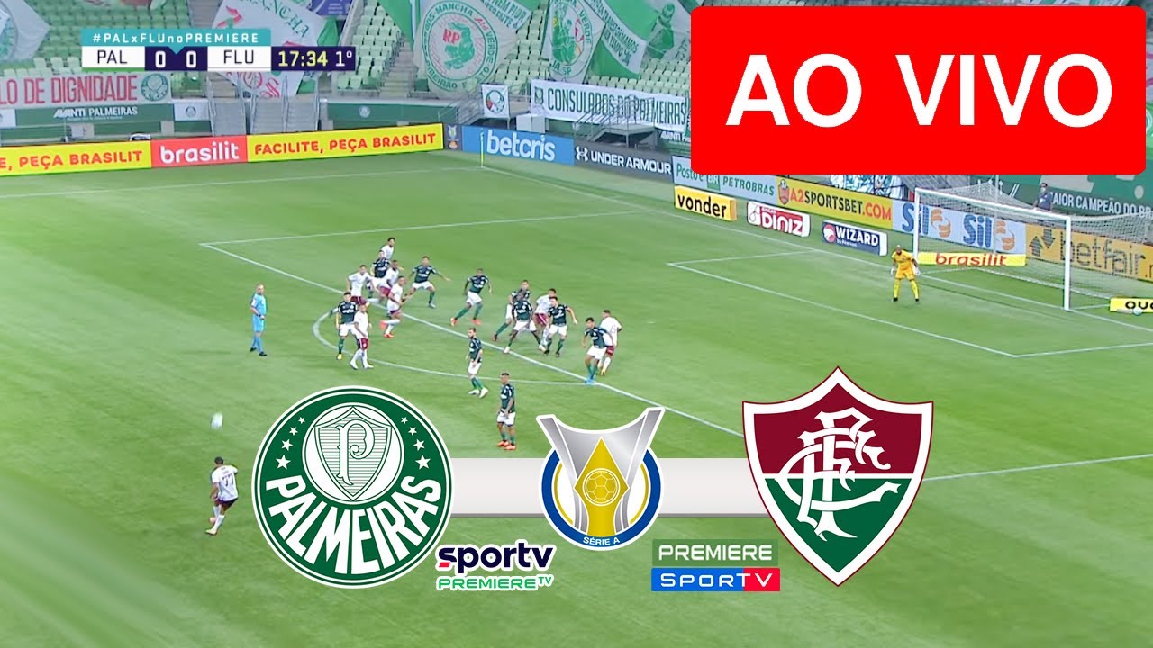 ASSISTIR PALMEIRAS X FLUMINENSE AO VIVO ONLINE GRÁTIS COM IMAGEM HOJE,  03/12? PALMEIRAS X FLUMINENSE onde assistir? Veja transmissão do PALMEIRAS  X FLUMINENSE HOJE AO VIVO no