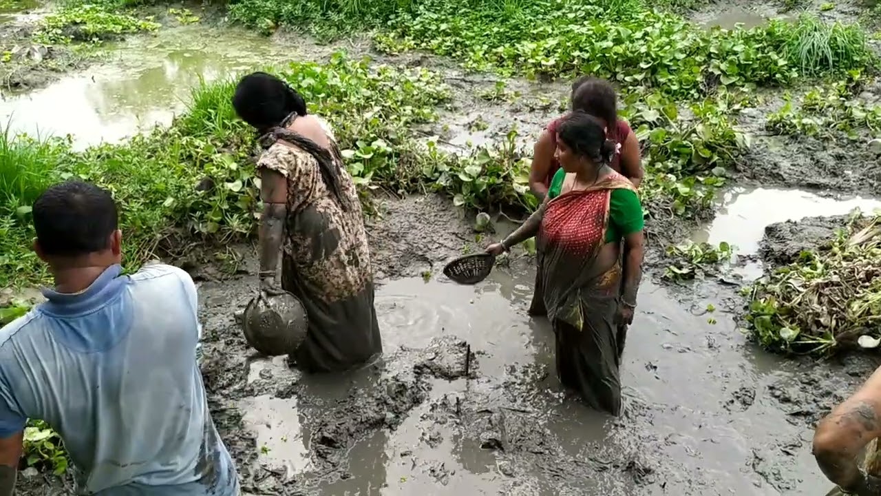 কেমন করে কাদার মধ্যে মাছ ধরা  হচ্ছে 🐟😱 Bengali village fishing video || Local fishing video ||