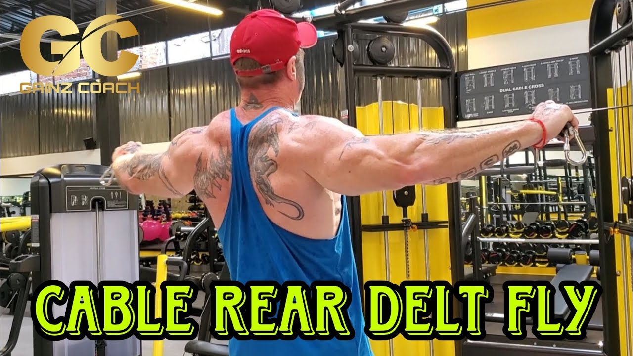 EXERCISE INDEX - CABLE REAR DELT FLY - YouTube