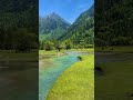 Where the wild still calls