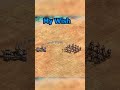 Age Of Empires 2 My Wish AoE2 shorts