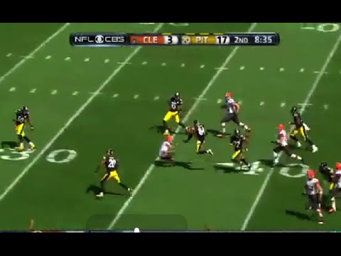 Antonio Brown Kicks Punter in Face, Necessary Roughness