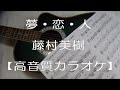 夢恋人 藤村美樹【高音質カラオケ】