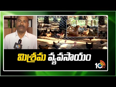 మిశ్రమ వ్యవసాయం |  Ideal Farmer Mixed Farming | Matti Manishi  | 10TV