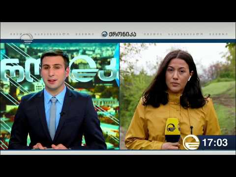 ყანდაურაში მომხდარ მკვლელობაში ეჭვმიტანილი ბრალს არ აღიარებს