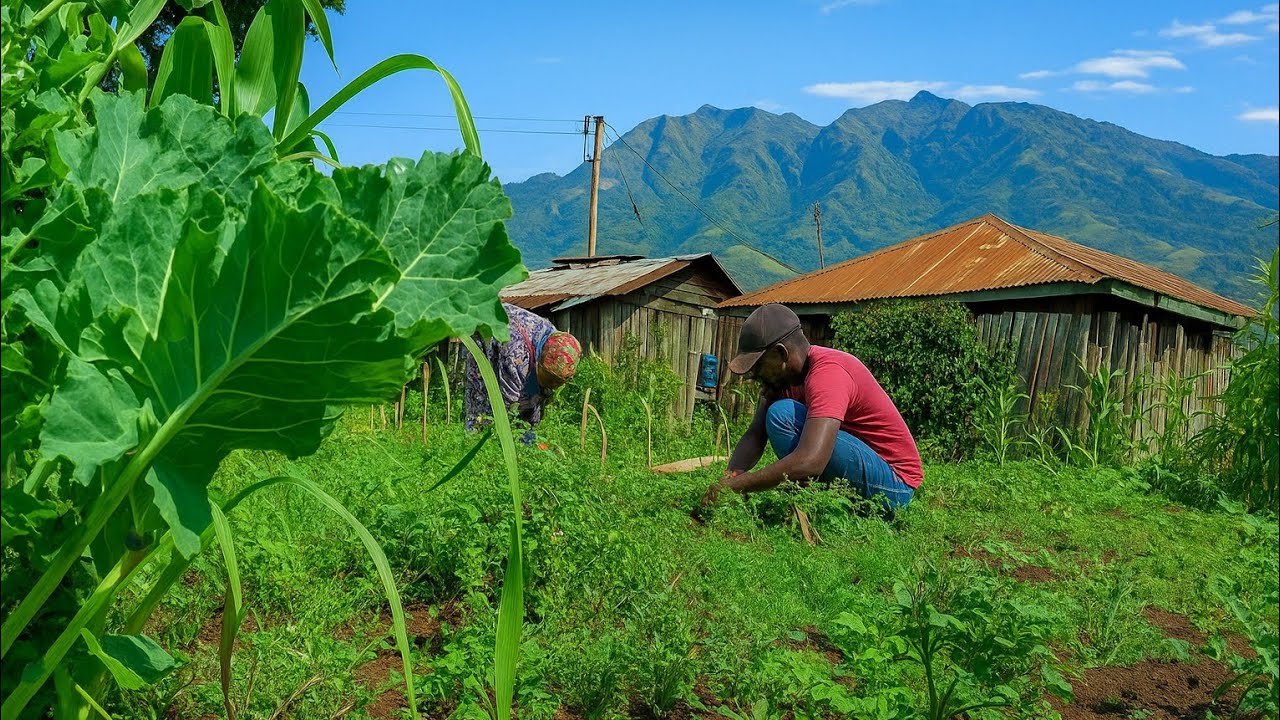 African Village Boy’s Off-Grid Life in My 20s |Simple Routine in the Aberdare Highlands
