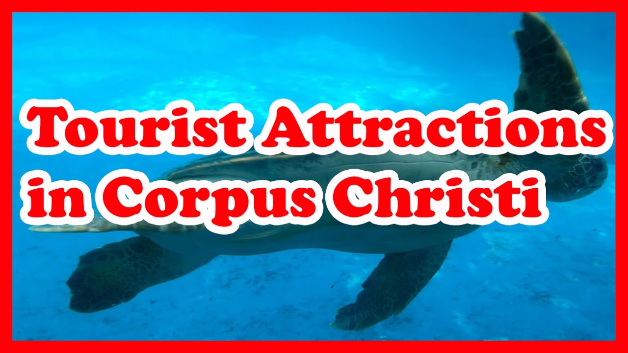 5 Top Tourist Attractions In Corpus Christi Texas US Travel Guide 5-top-tourist-attractions-in-corpus-christi-texas-us-travel-guide