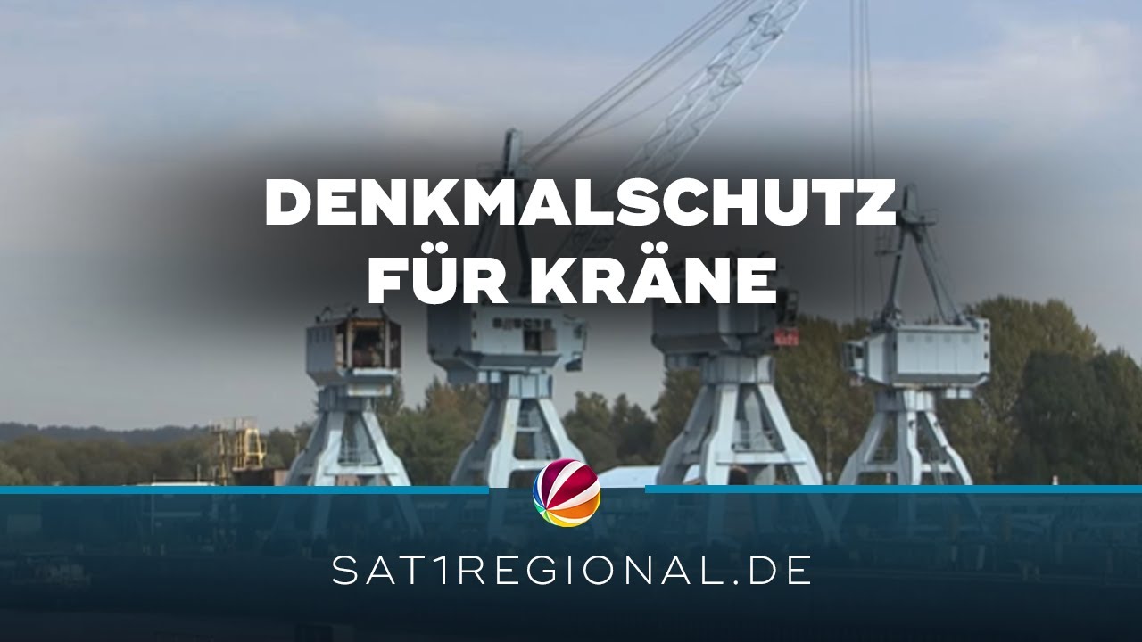 Was passiert mit den denkmalgeschützten Kränen auf dem ehemaligen Sietas-Werft-Gelände in Hamburg?