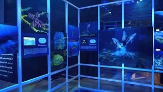 The Blancpain Ocean Commitment Exhibition on show in Seoul