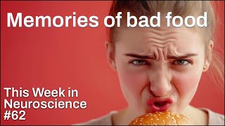TWiN 62: Memories of bad food