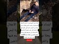 ابتداء من اليوم قررت اعتزل الاعمال الشخصية وذهبت افتح مغارة ليس بحثا عن الذهب لا بل لكي اقيم فيها ابتداء من اليوم قررت اعتزل الاعمال الشخصية وذهبت افتح مغارة ليس بحثا عن الذهب لا بل لكي اقيم فيها
