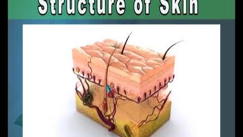 "Semisolid Dosage Forms – I: Definitions, Types, Mechanism
