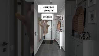 а как проходит ваш день? #memes #fypシ #мем #youtube