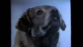 1987 Dodge Shadow "Unleash a new breed of compact car" TV Commercial