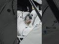 NASA Astronaut Human-in-the-Loop Testing of Our FLEX Rover Mockup