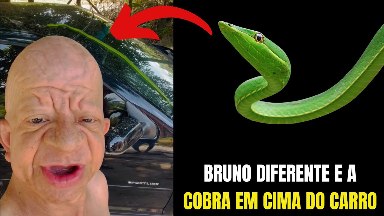 Bruno diferente e a Cobra verde em cima do carro @Bruno Diferente