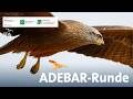 ADEBAR Runde 2026 14 02 2026