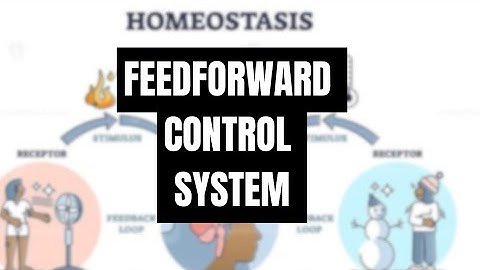 "Feedforward Mechanisms in Control Systems: #PART 4  #homeostasis