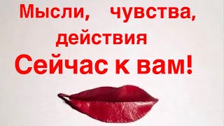 видео: Мысли, чувства, действия сейчас к вам! ♥️ картинка: Мысли, чувства, действия сейчас к вам! ♥️