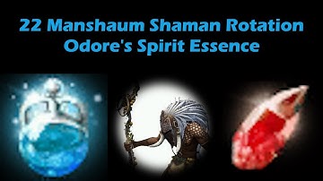 22 Manshaum Shaman Rotation | Narc