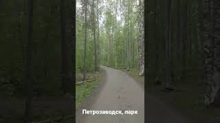 Парк Петрозаводск