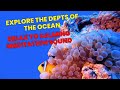 Deep aquarium ambience with relaxing and soothing sleep music