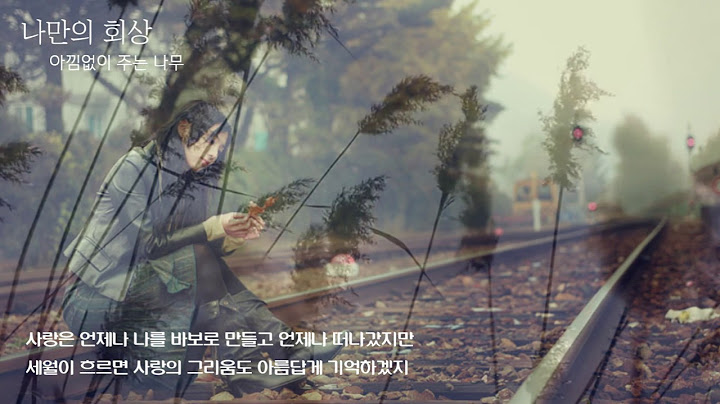 [AUDIO] 나만의 회상 - 아낌없이 주는 나무 | 발매 1995