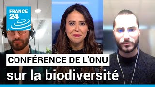 Conférence de l'ONU sur la biodiversité : guider les actions pour protéger et restaurer la nature