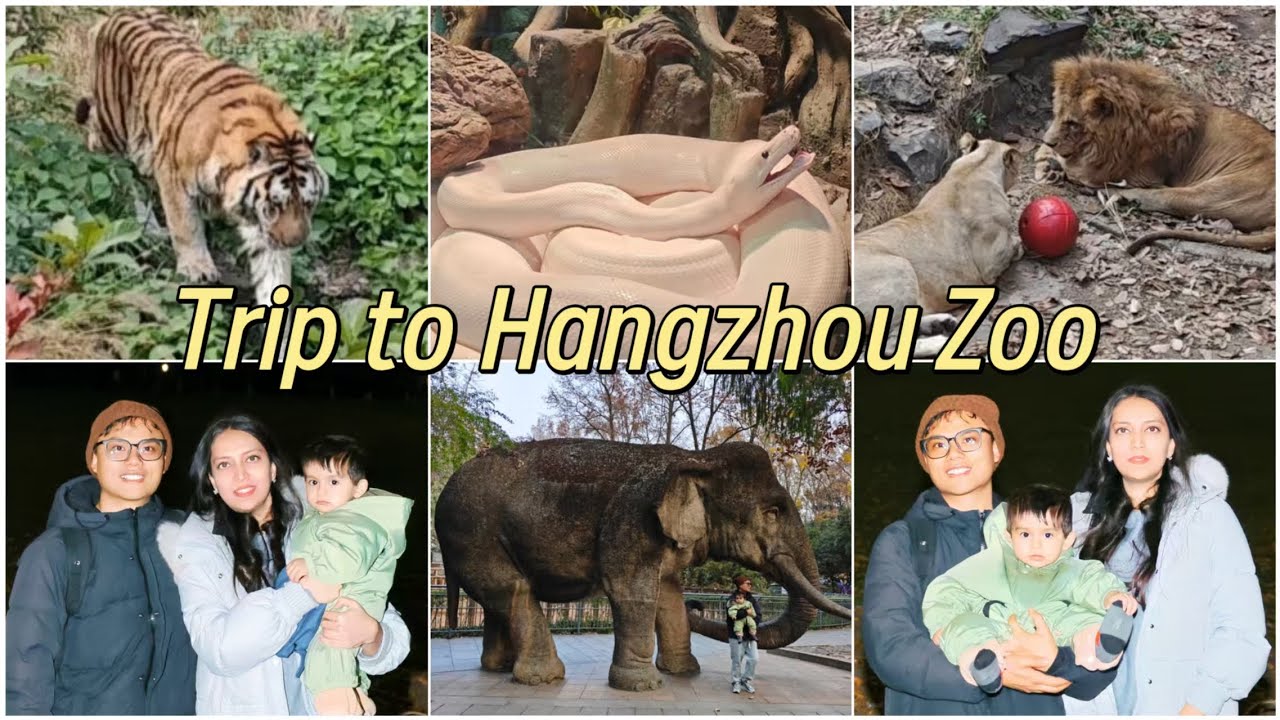 Pakistani Mama & Chinese Baba Take Baby to Hangzhou Zoo ~ Our Son's FIRST Zoo Trip! 🇵🇰❤️🇨🇳