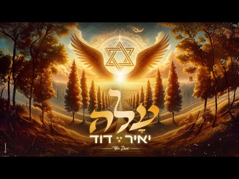 יאיר דוד - עלה