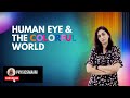 Physics: Human Eye dispersion, refraction through prism, refraction, early sunrise & delayed sunset.