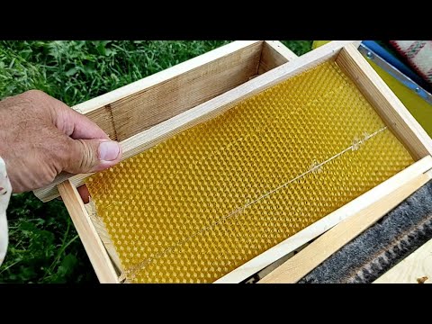 Украинский улей--лежак. Слабая