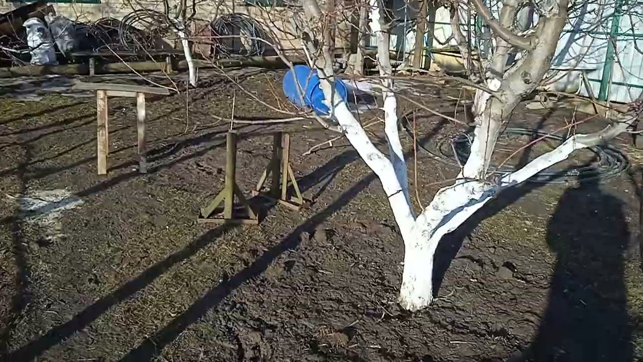 Знайомство.