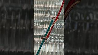Electrician Wiring #ElectricianWiring #Electrician #shortsfeed #wiringtips #copper #wire